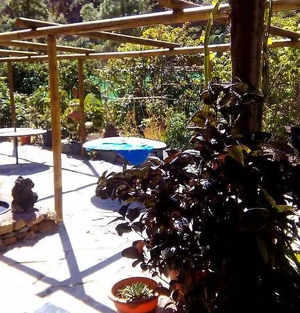 Casa Rural Ayagaures Los Palmitos